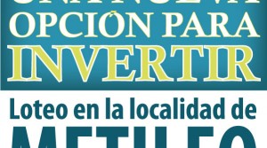 METILEO. Una oportunidad de Inversión