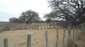Campo en venta
