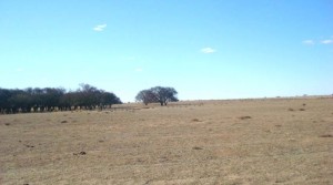 Campo en venta