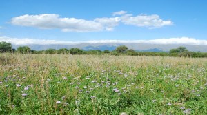 Lote en venta