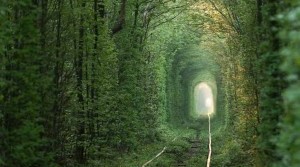 PAISAJES RAROS EN EL MUNDO
