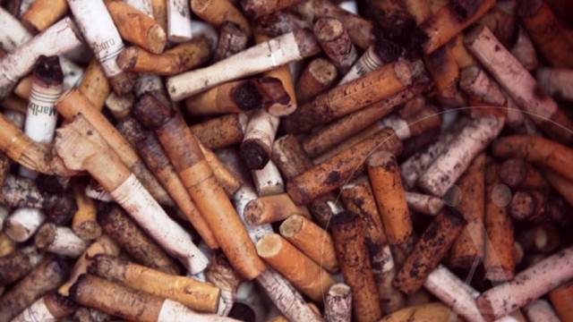 Mirá lo que hicieron con… ¡COLILLAS DE CIGARRILLO!