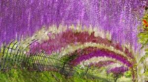 10 lugares increíbles que no parecen reales