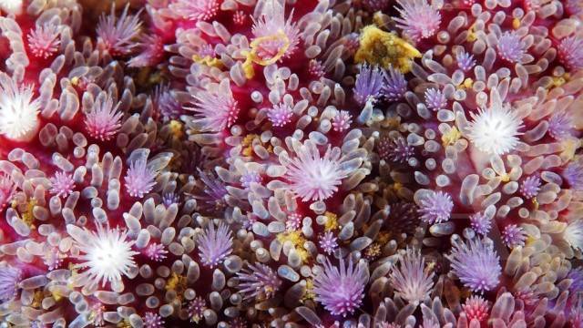 9 magníficas imágenes de texturas del mar