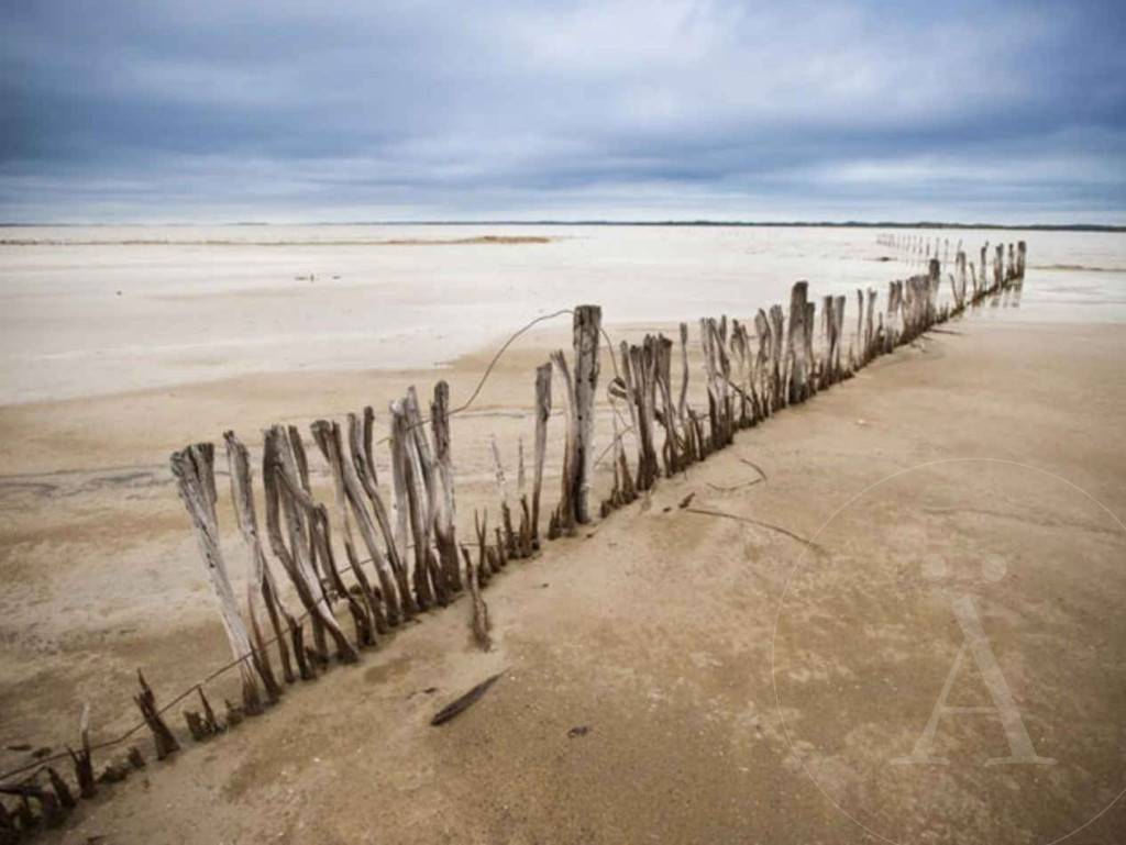 5-Lagunas Coorong y estuario del río Murray