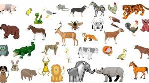 ¿Qué importante animal celebra su día nacional hoy?