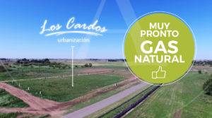 LOS CARDOS – Urbanización