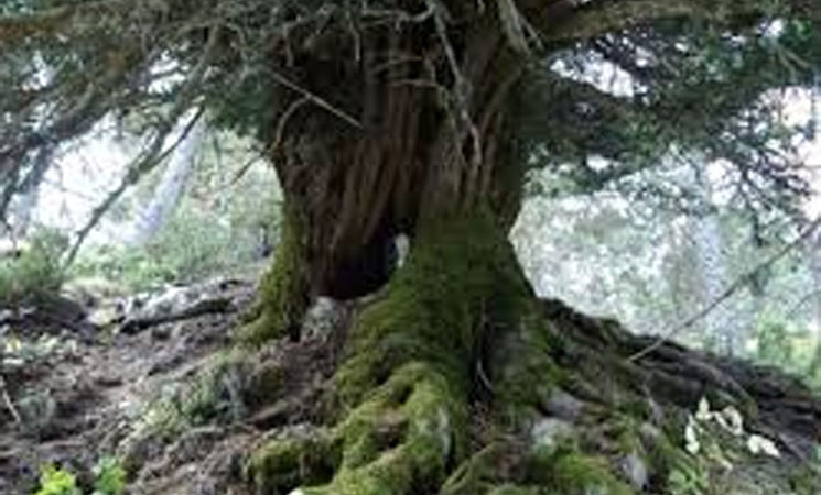 eco04
