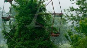 35 lugares abandonados que la naturaleza aprovechó