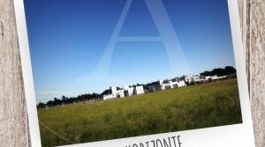 LOTEO NUEVO HORIZONTE