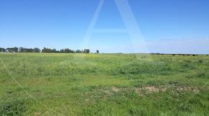 Campo en venta