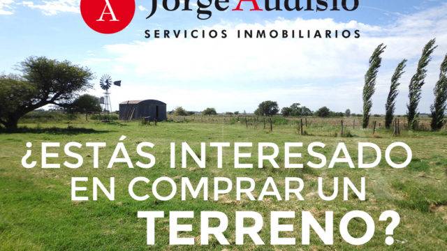 Encuestas