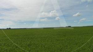 Campo en venta