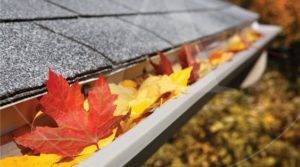 El otoño y las canaletas