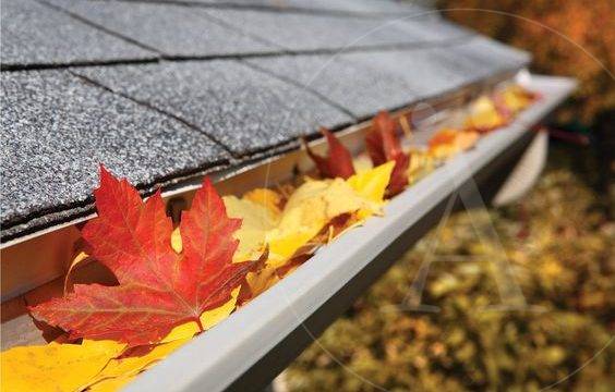 El otoño y las canaletas