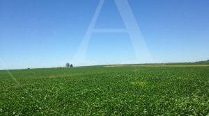 Campo en venta